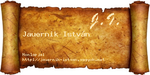 Jauernik István névjegykártya